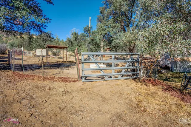a view of a yard with plants and trees