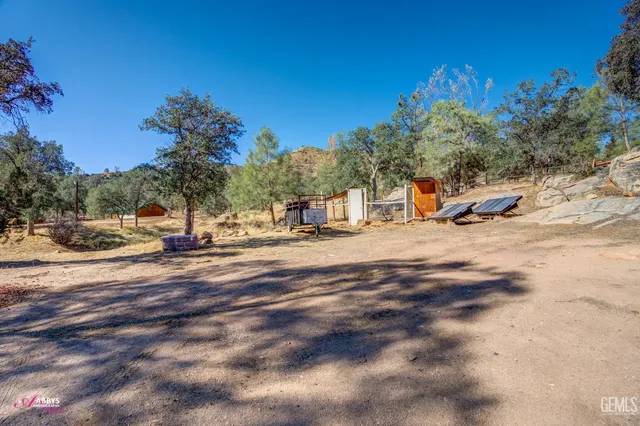 a view of a yard with trees