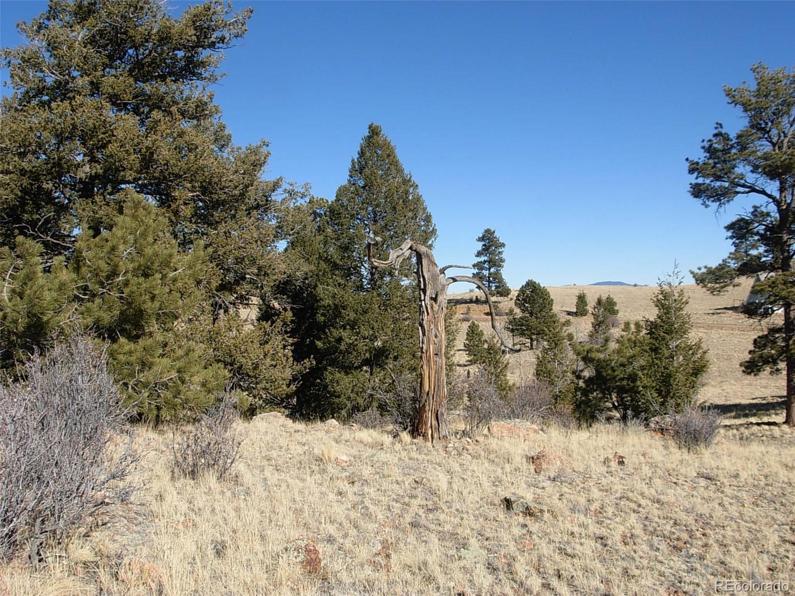 0 Chotaw Road Hartsel, CO 80449 - Photo 21 of 25 Gallery Image 21