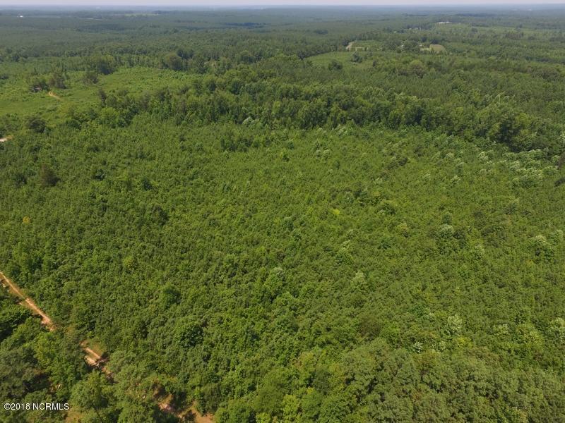 25-ac Blacks Road Macon, NC 27551 - Photo 11 of 31 10 (800x600)