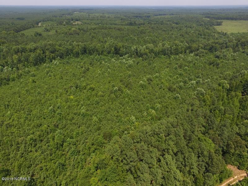 25-ac Blacks Road Macon, NC 27551 - Photo 12 of 31 11 (800x600)