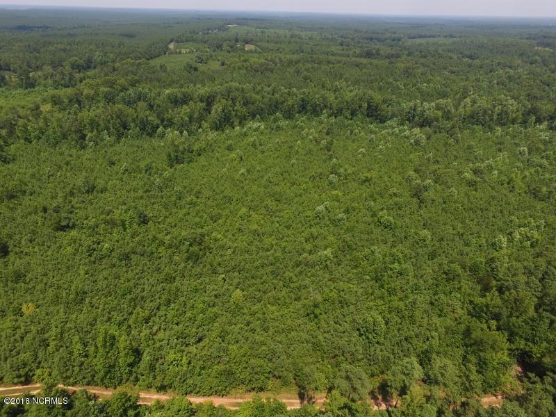 25-ac Blacks Road Macon, NC 27551 - Photo 13 of 31 12 (800x600)