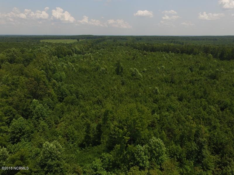 25-ac Blacks Road Macon, NC 27551 - Photo 17 of 31 16 (800x600)