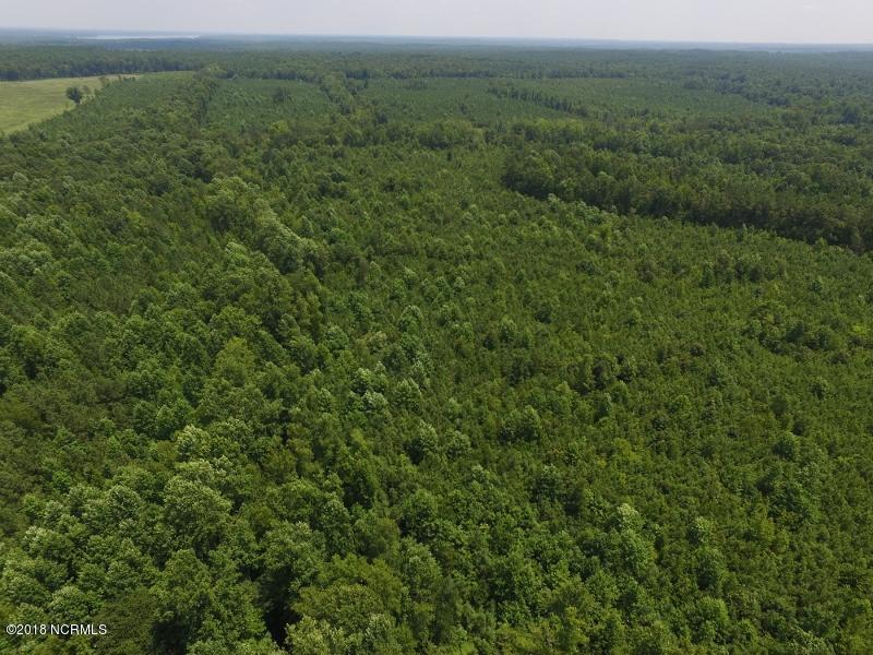 25-ac Blacks Road Macon, NC 27551 - Photo 18 of 31 17 (800x600)