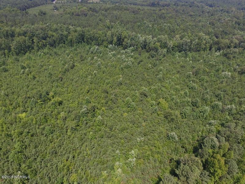 25-ac Blacks Road Macon, NC 27551 - Photo 20 of 31 19 (800x600)