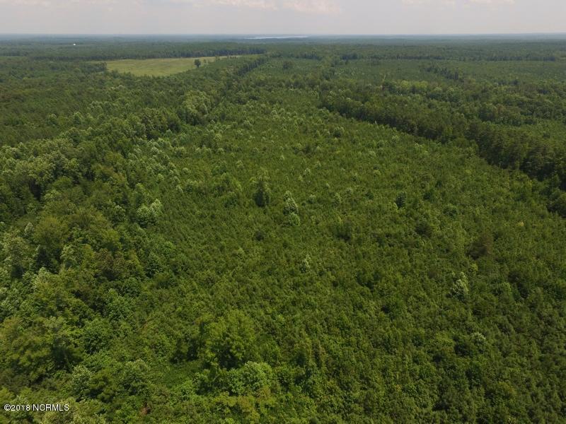 25-ac Blacks Road Macon, NC 27551 - Photo 2 of 31 1 (800x600)