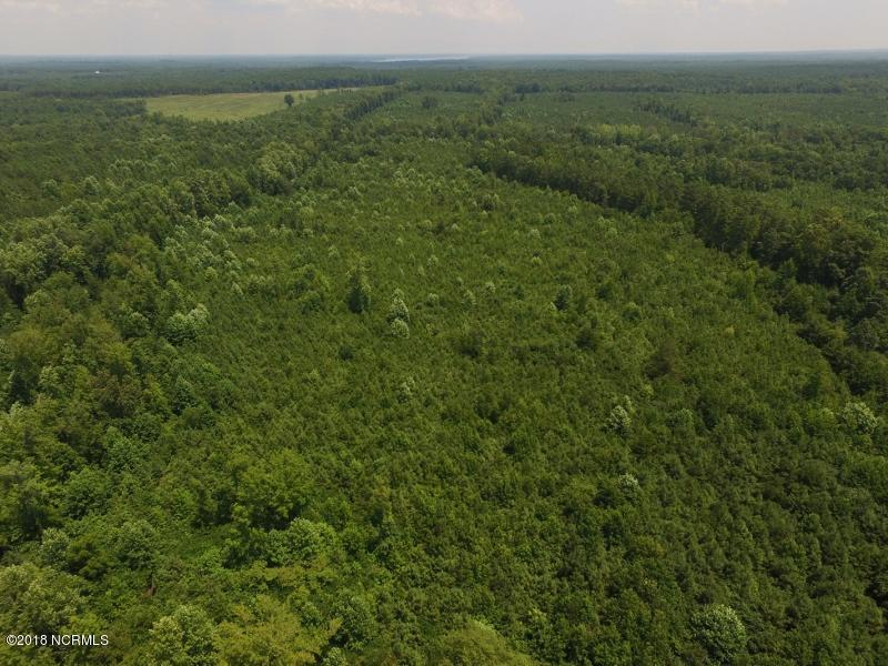 25-ac Blacks Road Macon, NC 27551 - Photo 21 of 31 20 (800x600)
