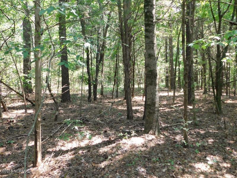 25-ac Blacks Road Macon, NC 27551 - Photo 22 of 31 21 (800x600)