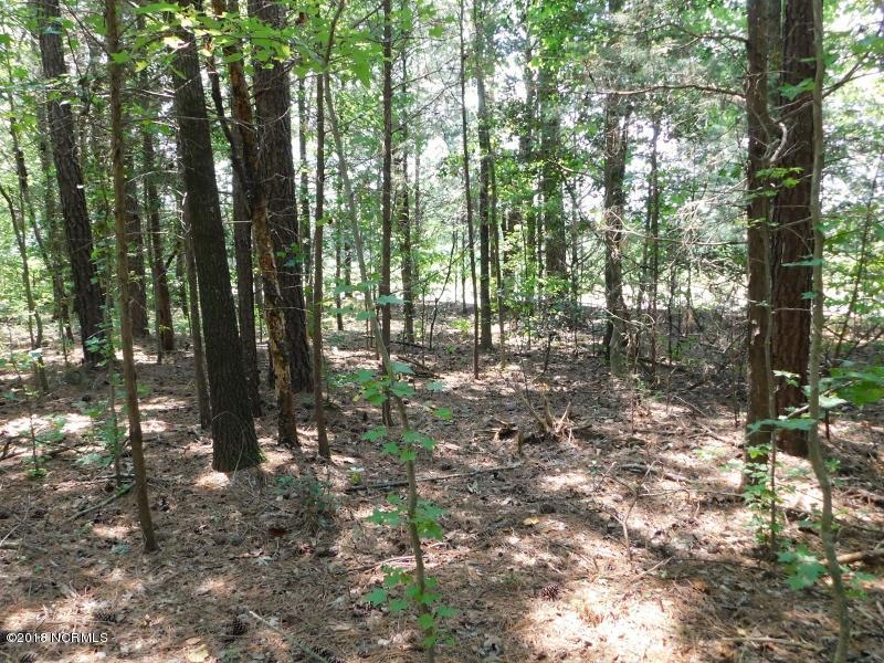 25-ac Blacks Road Macon, NC 27551 - Photo 23 of 31 22 (800x600)