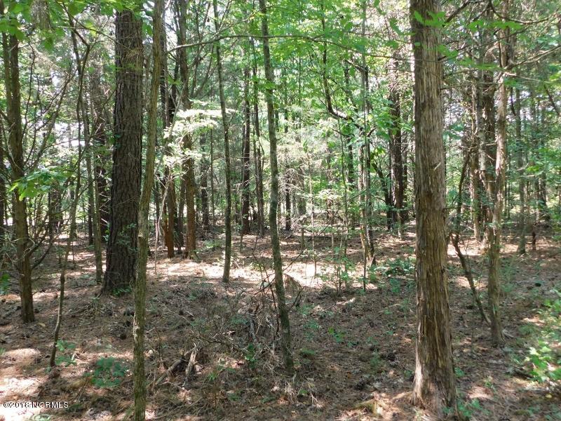 25-ac Blacks Road Macon, NC 27551 - Photo 24 of 31 23 (800x600)