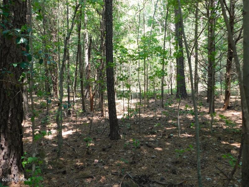 25-ac Blacks Road Macon, NC 27551 - Photo 25 of 31 24 (800x600)