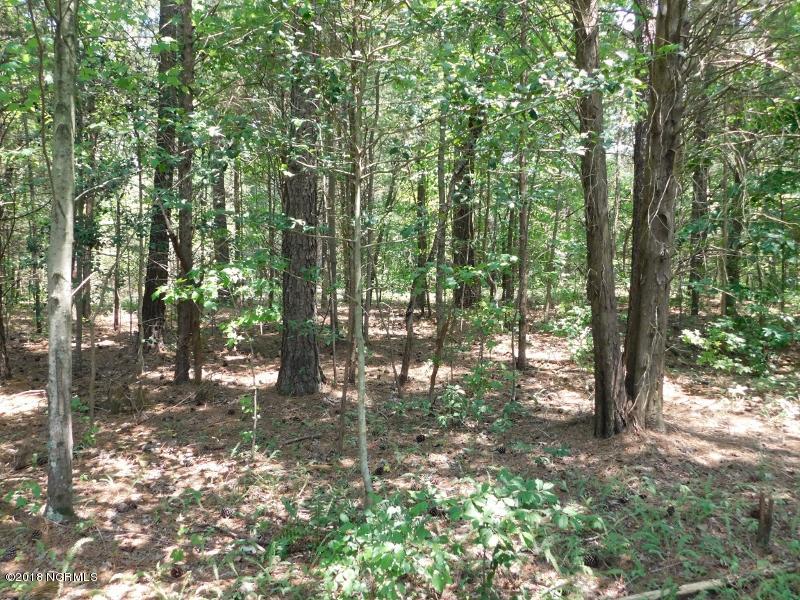 25-ac Blacks Road Macon, NC 27551 - Photo 26 of 31 25 (800x600)