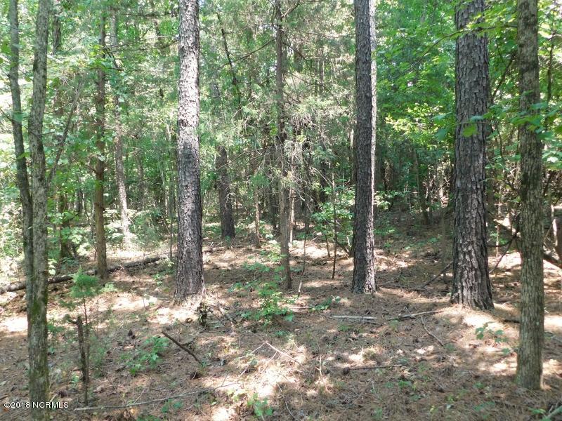 25-ac Blacks Road Macon, NC 27551 - Photo 27 of 31 26 (800x600)