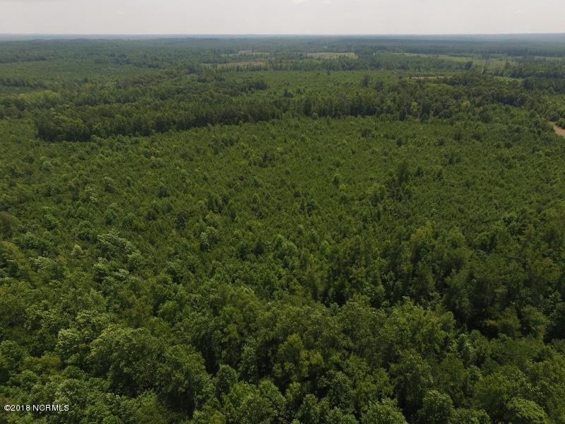 25-ac Blacks Road Macon, NC 27551 - Photo 5 of 31 4 (800x600)