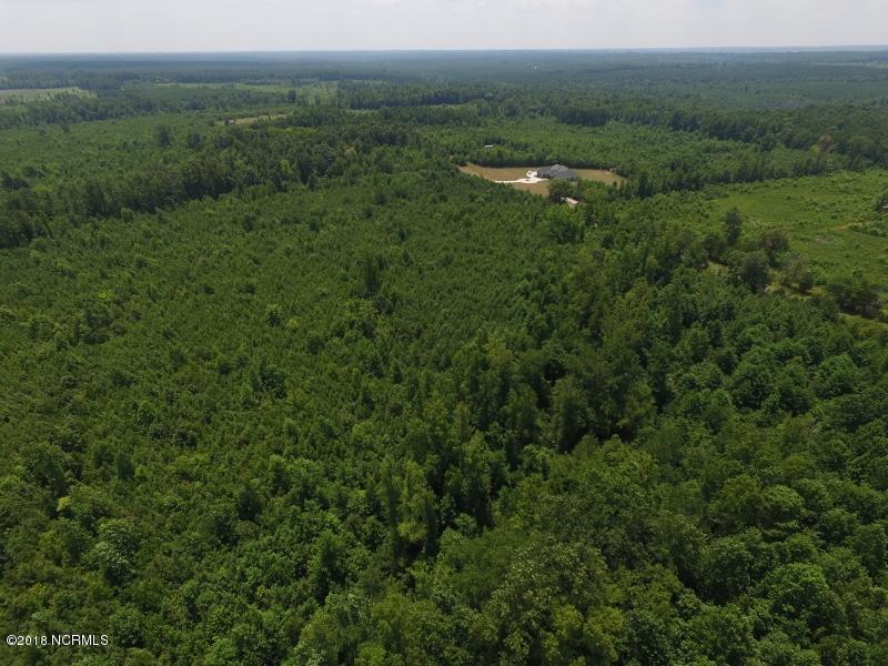 25-ac Blacks Road Macon, NC 27551 - Photo 7 of 31 6 (800x600)