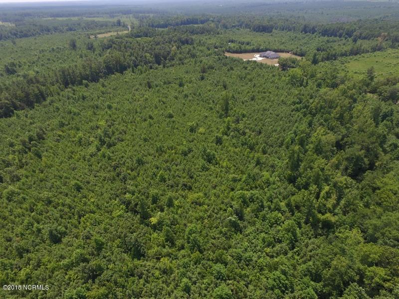 25-ac Blacks Road Macon, NC 27551 - Photo 8 of 31 7 (800x600)
