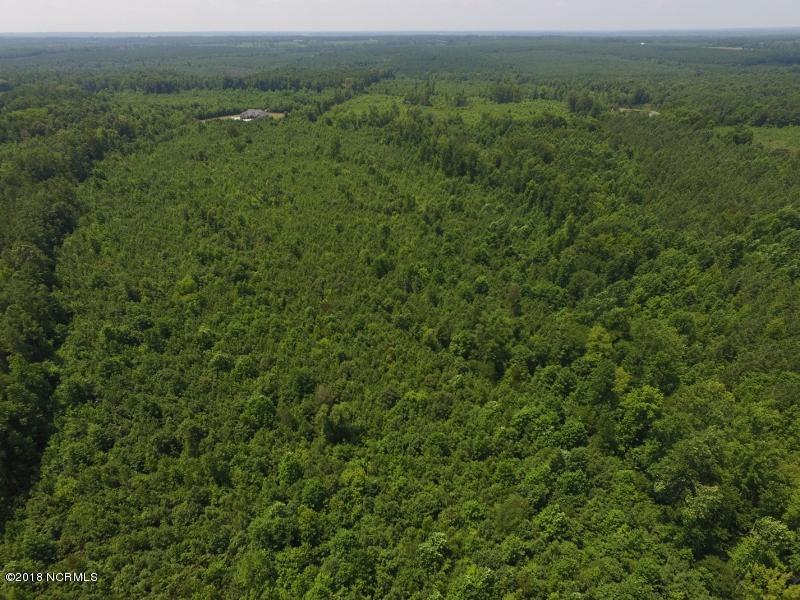 25-ac Blacks Road Macon, NC 27551 - Photo 9 of 31 8 (800x600)