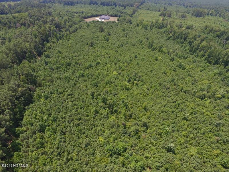 25-ac Blacks Road Macon, NC 27551 - Photo 10 of 31 9 (800x600)