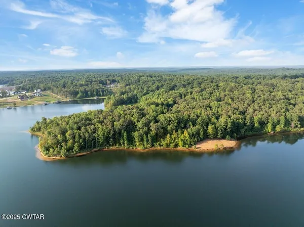 a view of a lake with a city