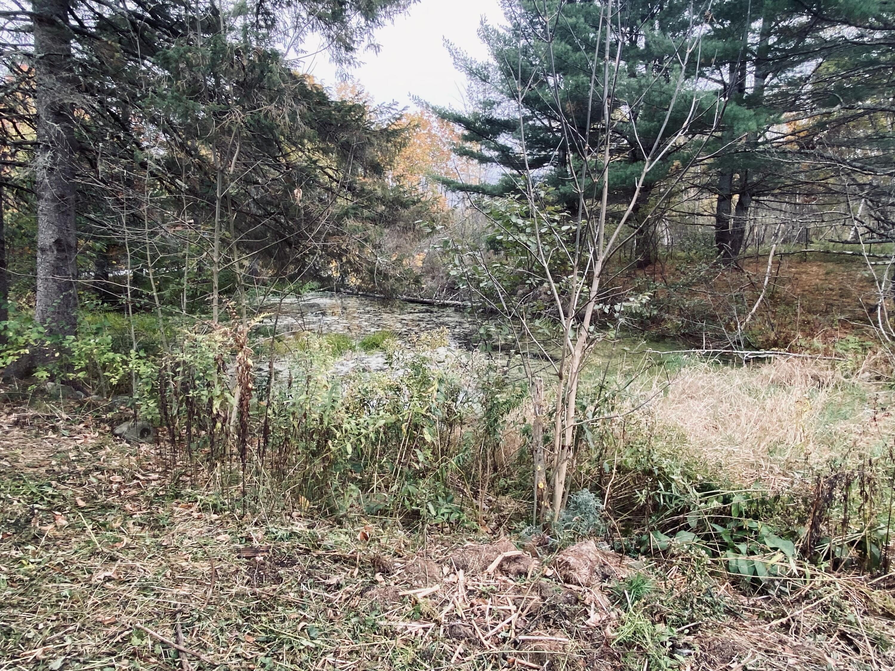 72 Clark Road Winterport, ME 04496 - Photo 33 of 36 IMG_2380