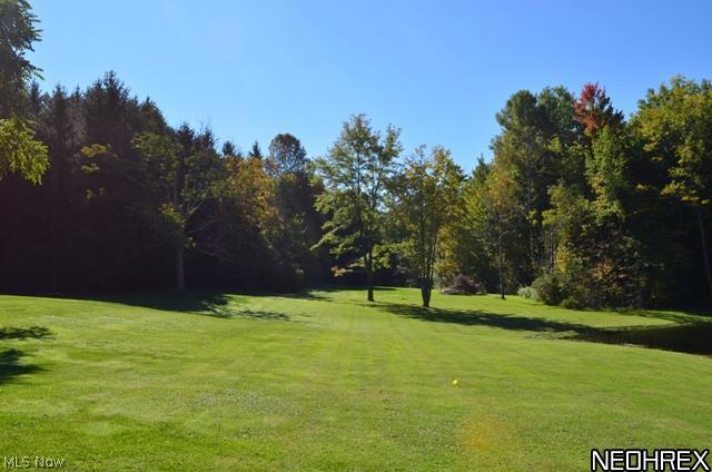 7608 Dewey Road Thompson, OH 44086 - Photo 22 of 25 29.69 acres of Pure Country. Lush trees with four different planted pines, heated pool, one acre pond and 48x32 Pole Barn.