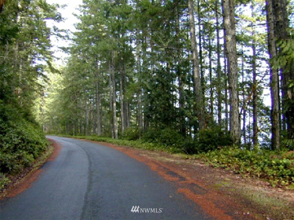 202 Pleasant Harbor Road Brinnon, WA 98320 - Photo 13 of 33 Gallery Image 13