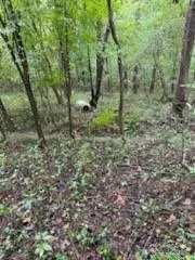 $90,000 | 5901 Howard Street, Charlotte, NC 28269