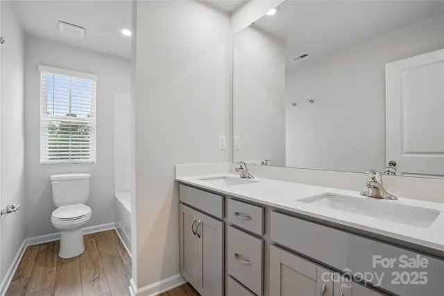 a bathroom with a sink and a toilet
