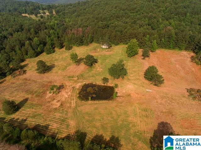 0 Stone Ridge Trail, Unit 50 87 Anniston, AL 36207 - Photo 5 of 15