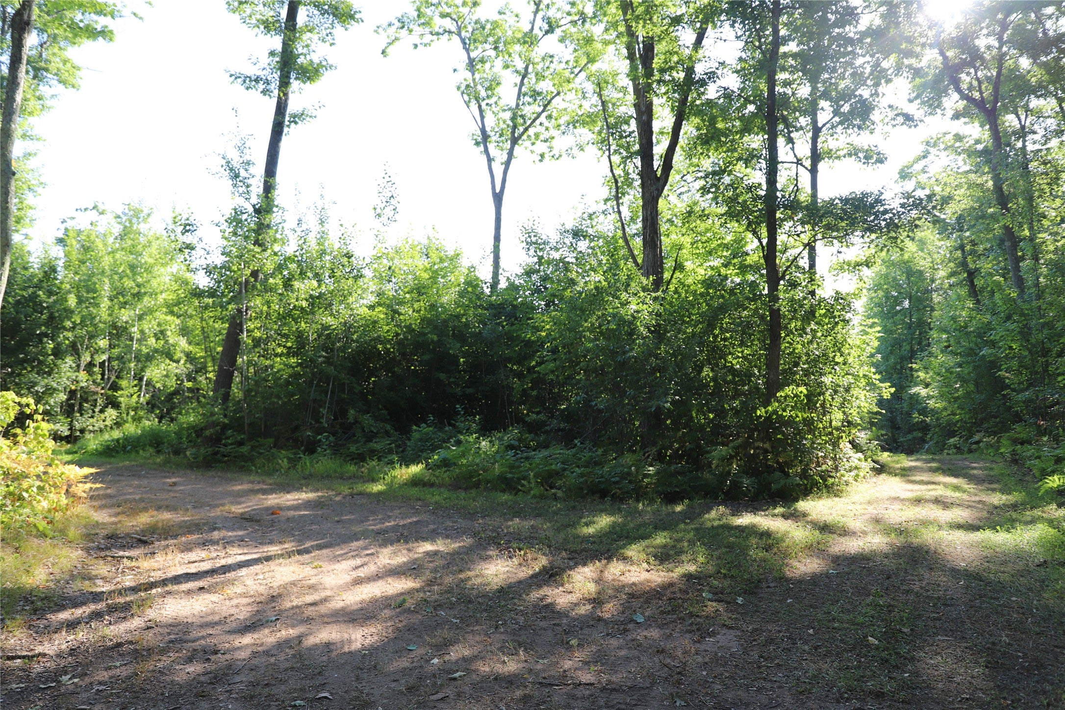 0 Sand Lake Road Stone Lake, WI 54876 - Photo 17 of 38 Gallery Image 17