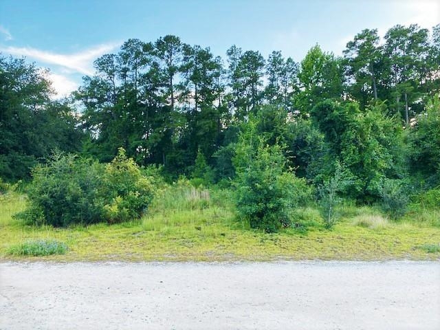 Lot 1 Ivanhoe Place Hamer, SC 29547 - Photo 1 of 10