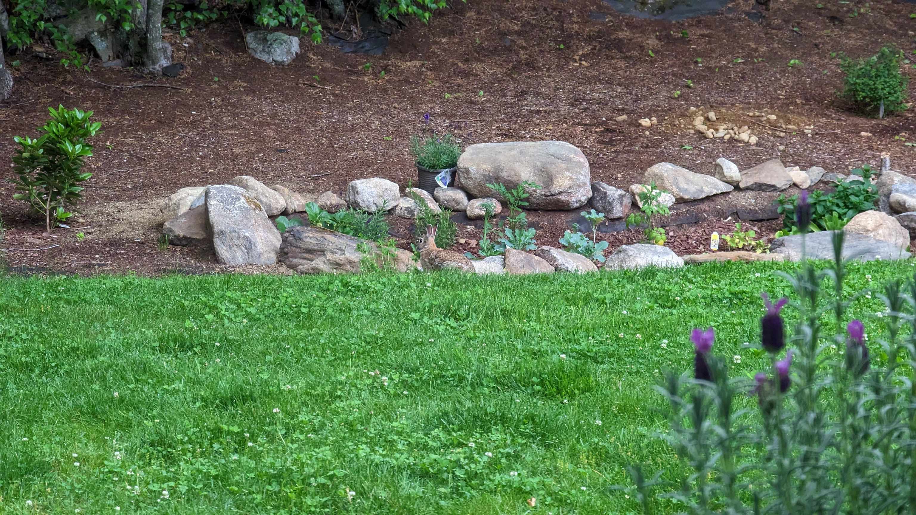 20 Sara Drive Temple, NH 03084 - Photo 28 of 40