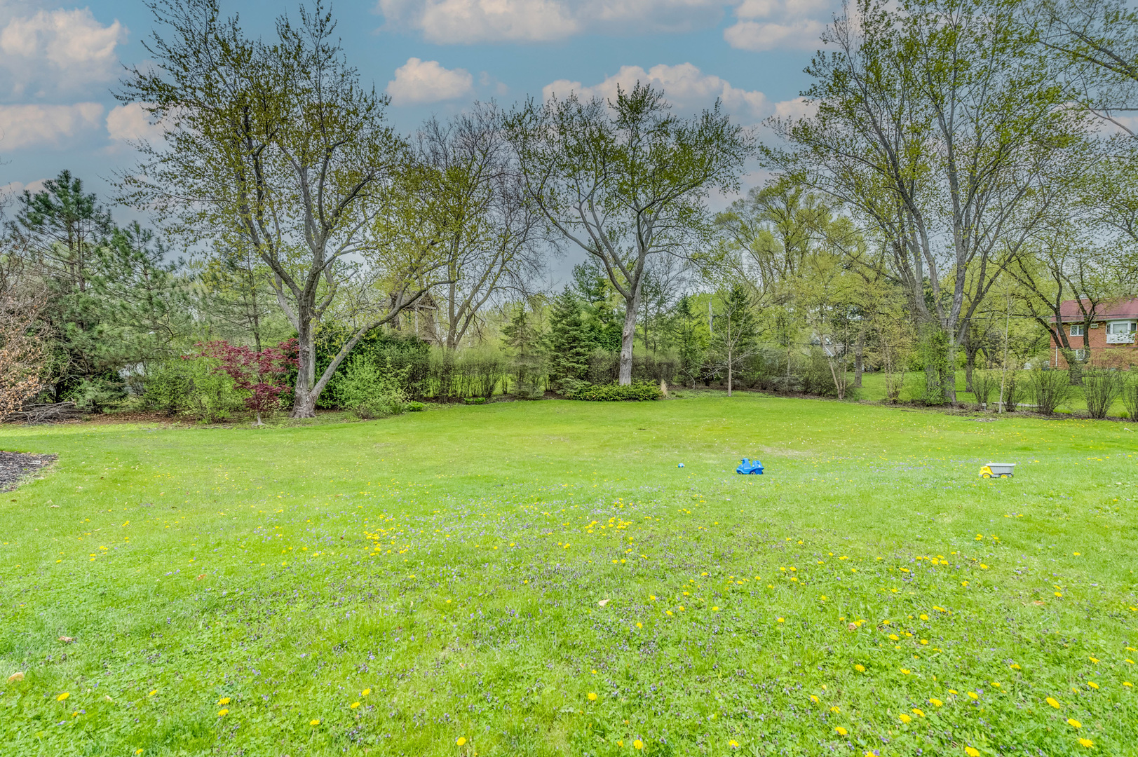 217 North Haman Road Inverness, IL 60010 - Photo 41 of 42