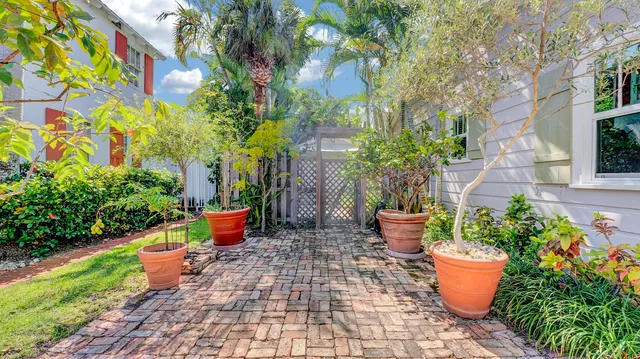 a view of a backyard with potted plants and large trees