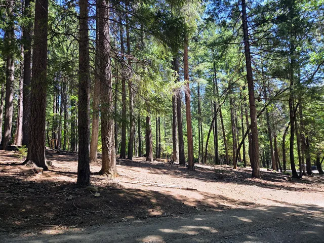 a living room with lots of furniture and a large window