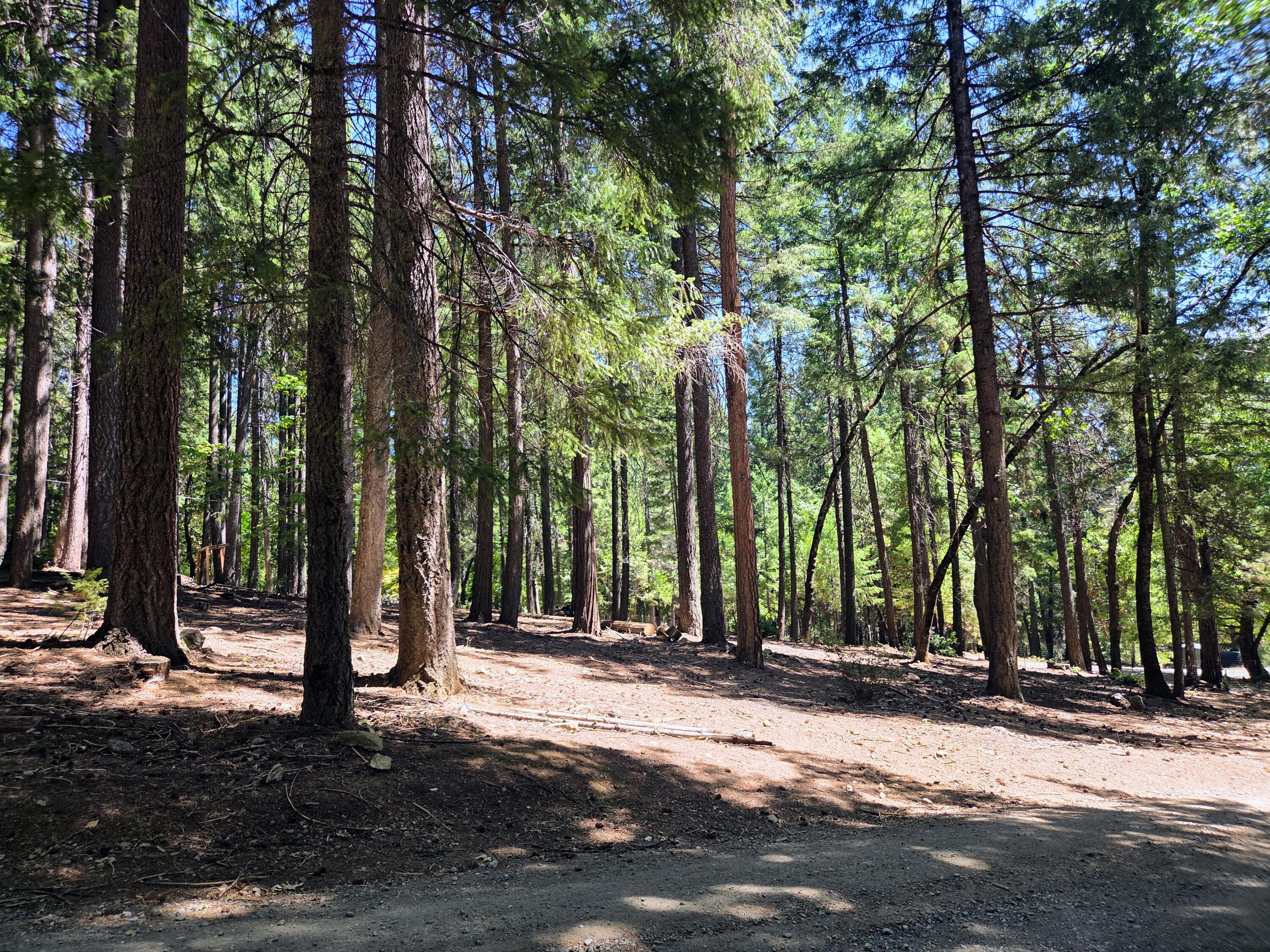 2940 Bear Creek Road Lewiston, CA 96052 - Photo 4 of 21