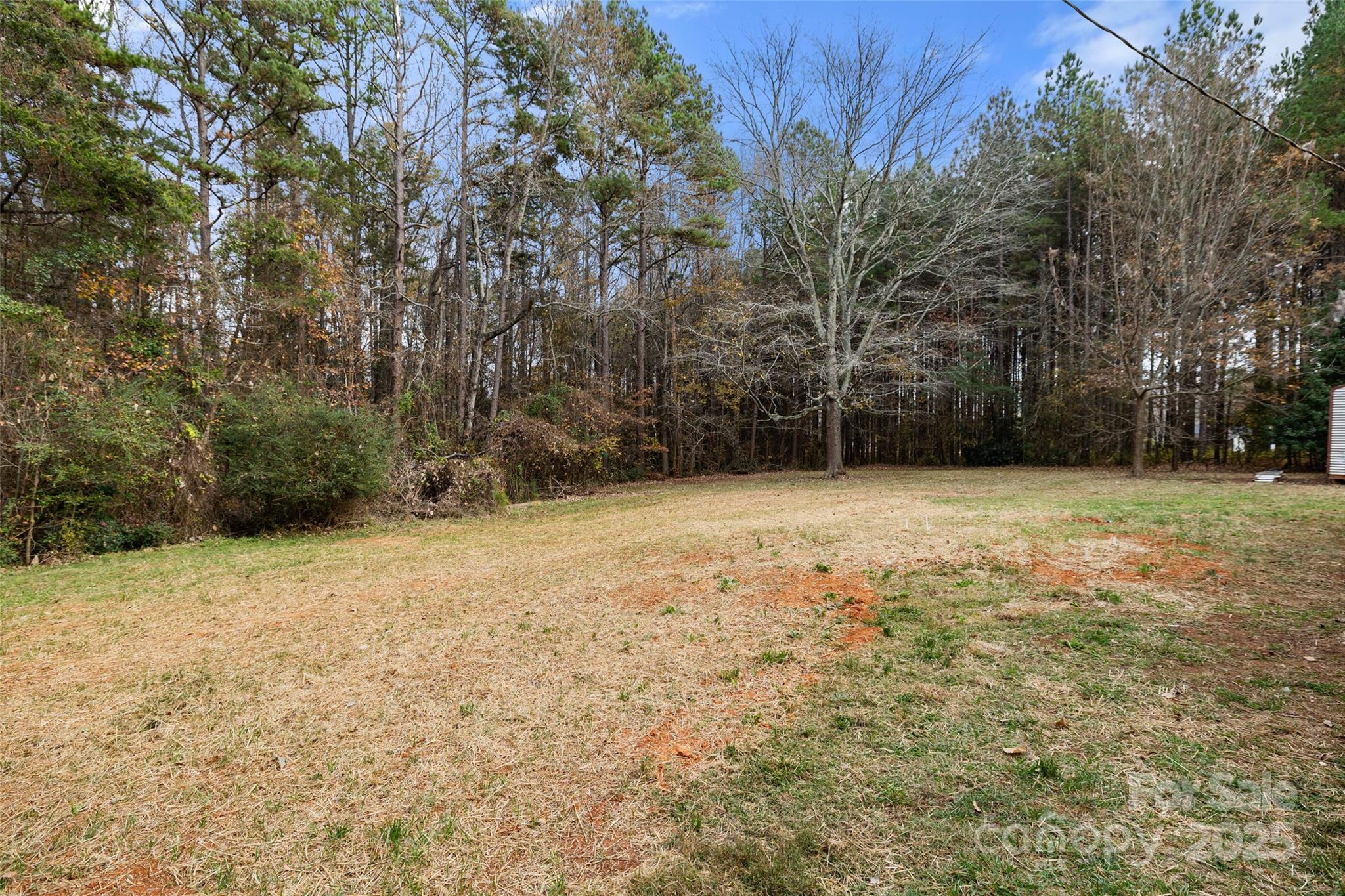 1946 Robert Usher Road Lancaster, SC 29720 - Photo 12 of 15 a view of a yard with trees
