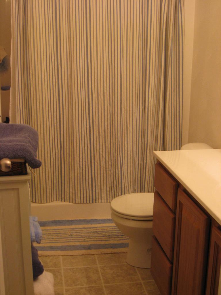 8701 Little Hoop Road Roanoke, VA 24019 - Photo 12 of 13 Bath
