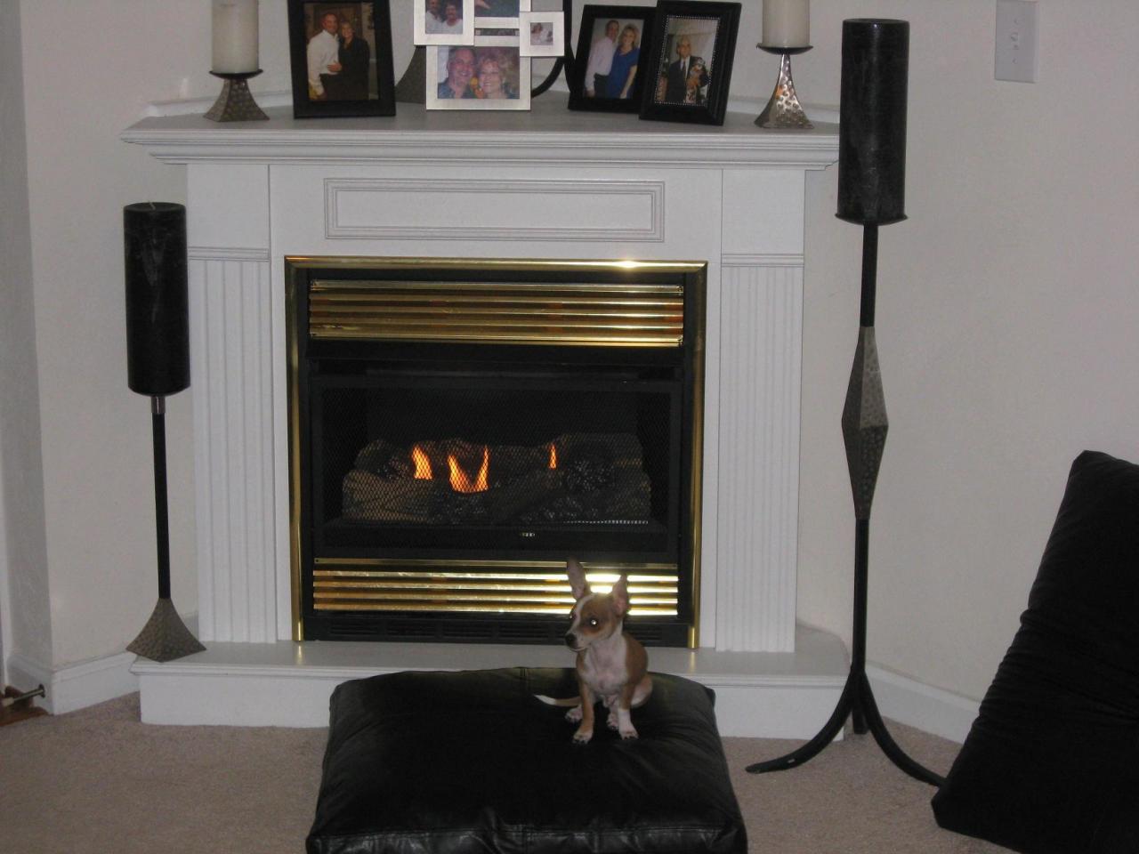 8701 Little Hoop Road Roanoke, VA 24019 - Photo 6 of 13 Fireplace