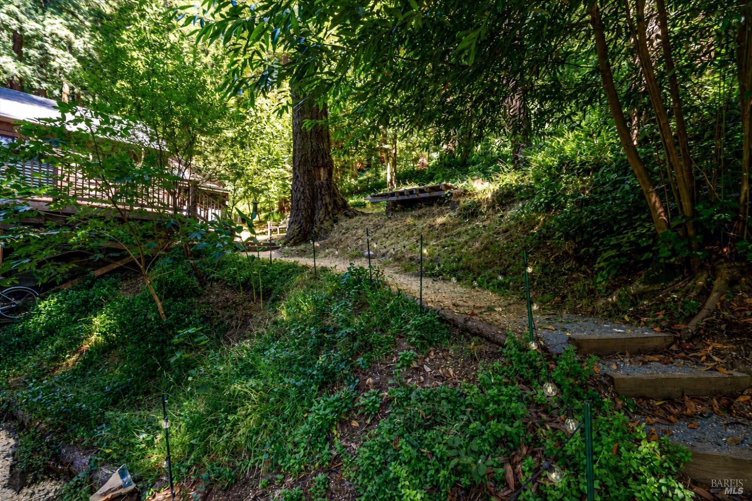 9079 Middle Terrace Monte Rio, CA 95462 - Photo 42 of 48 The lighted path leads from the street up to the main home