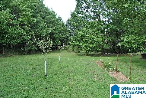 90 Old Church Road Lineville, AL 36266 - Photo 6 of 9
