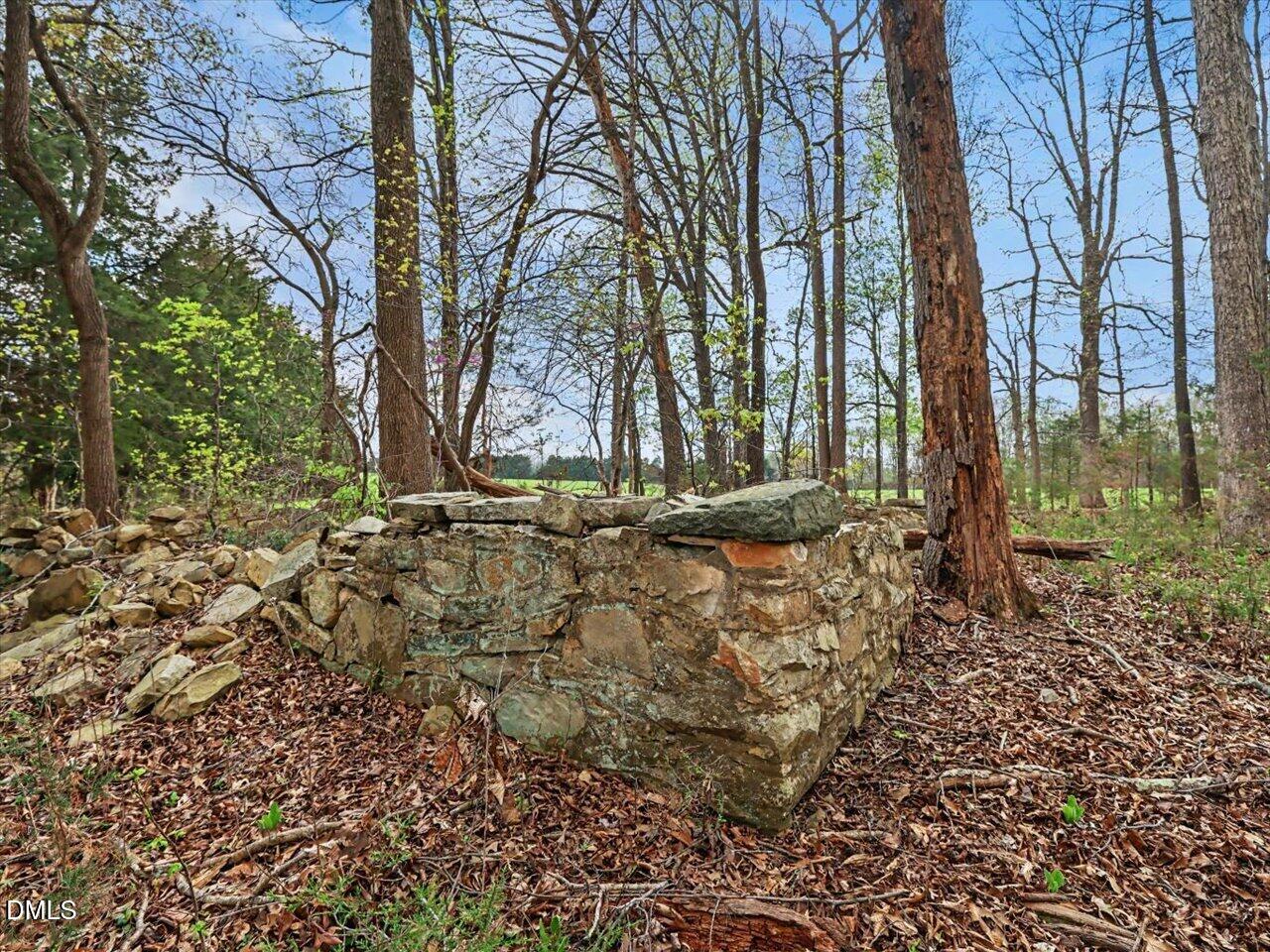 7793 Ridgeville Road Leasburg, NC 27291 - Photo 76 of 91