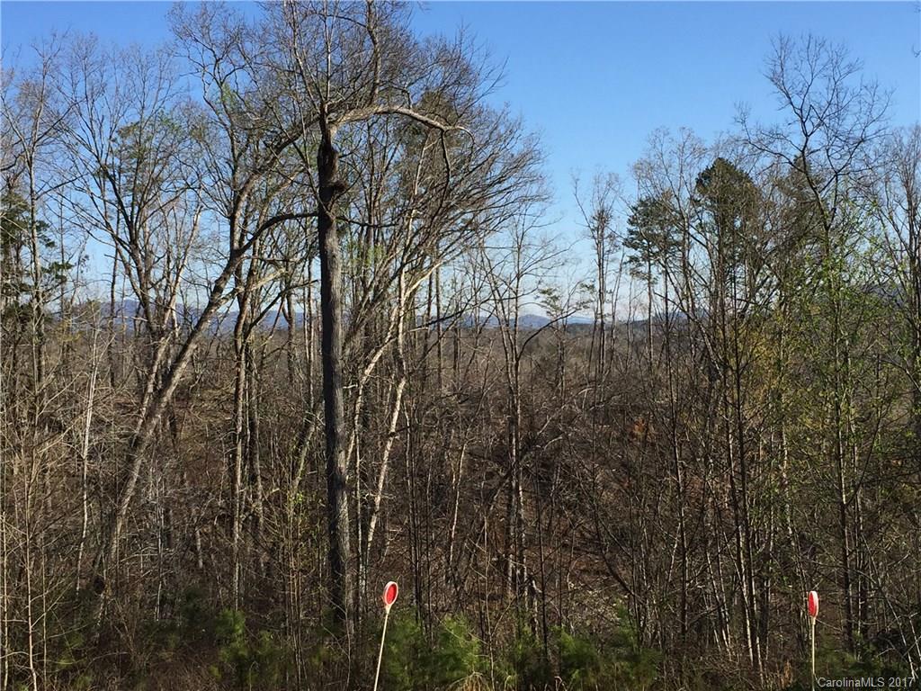 419 Travelers Rest Lane, Unit 18 Rutherfordton, NC 28139 - Photo 3 of 13 Gallery Image 3