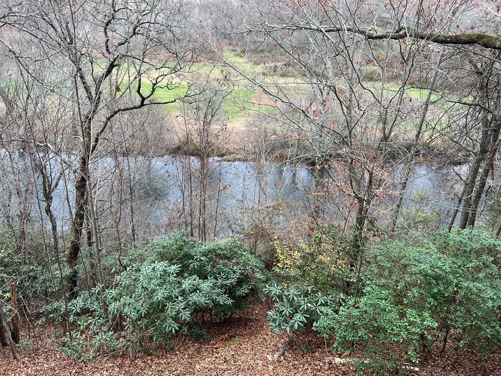 14 Rivendell Way Hayesville, NC 28904 - Photo 5 of 70