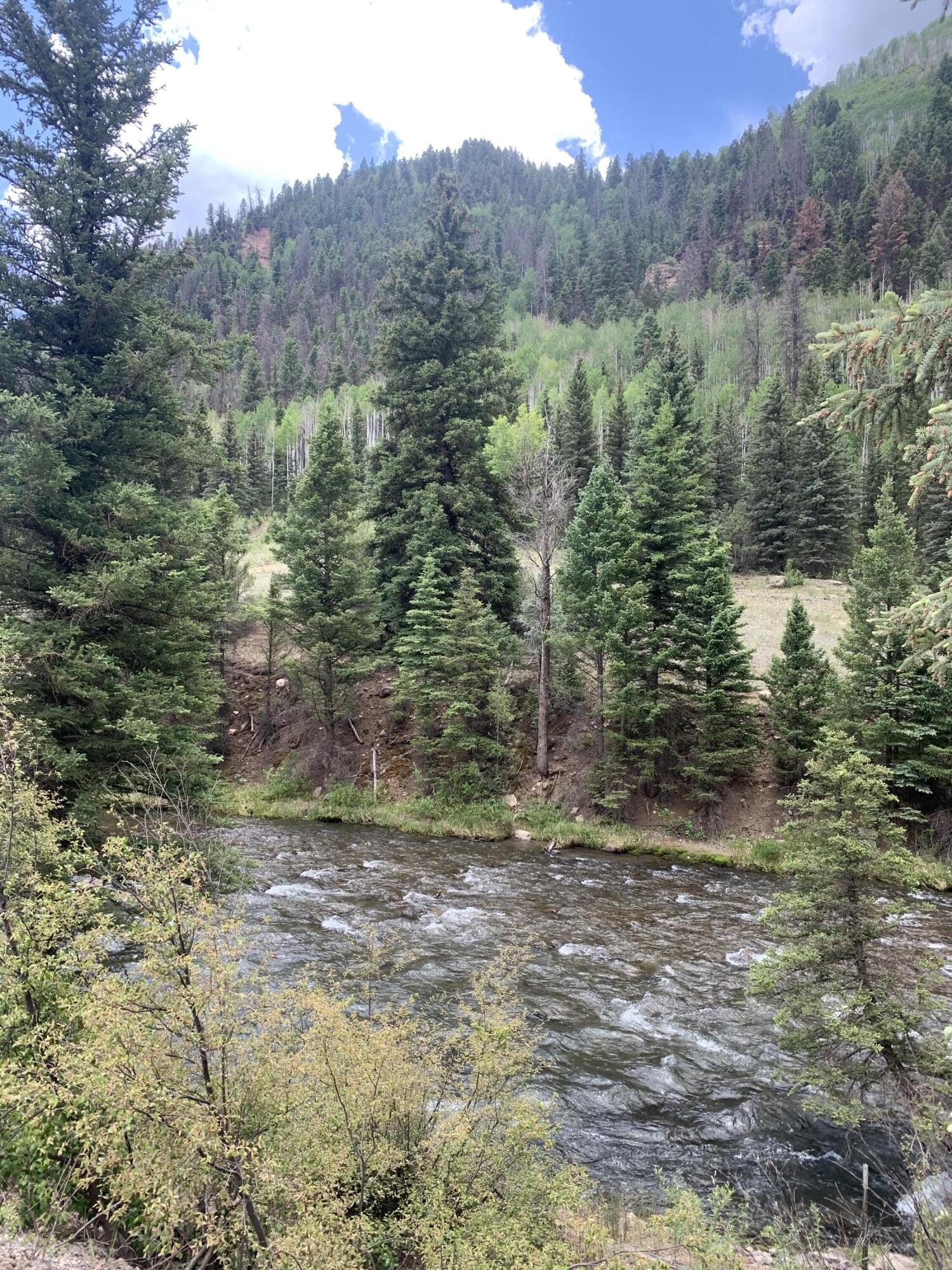 63 L Road Telluride, CO 81435 - Photo 13 of 15 a view of a forest with a trees
