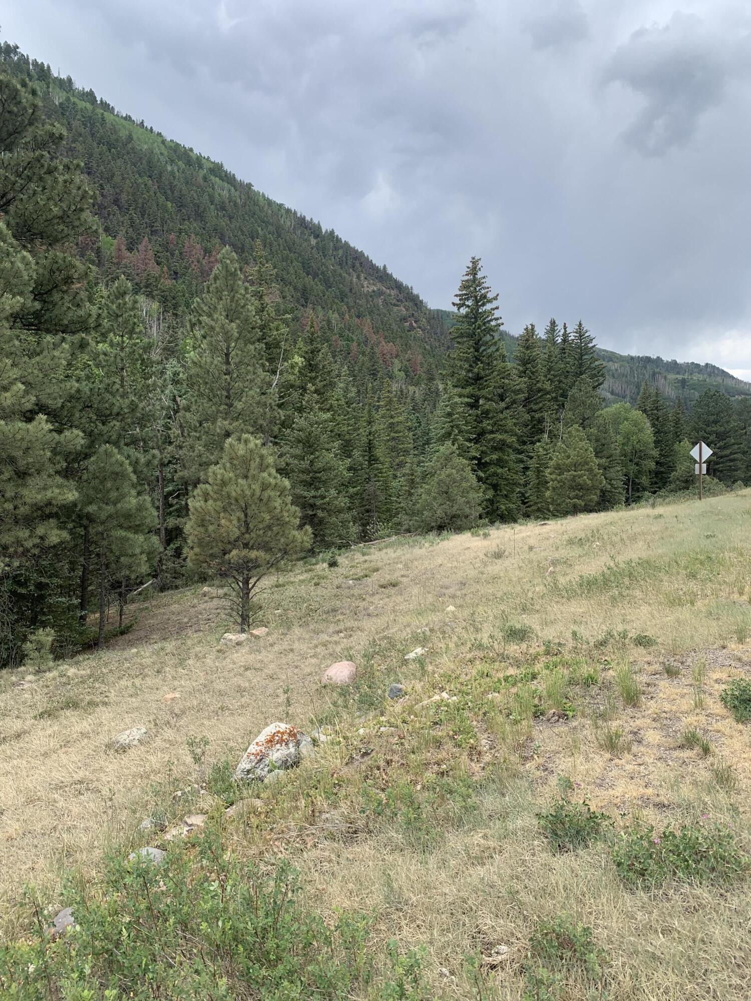 63 L Road Telluride, CO 81435 - Photo 2 of 15 a view of a yard with a tree