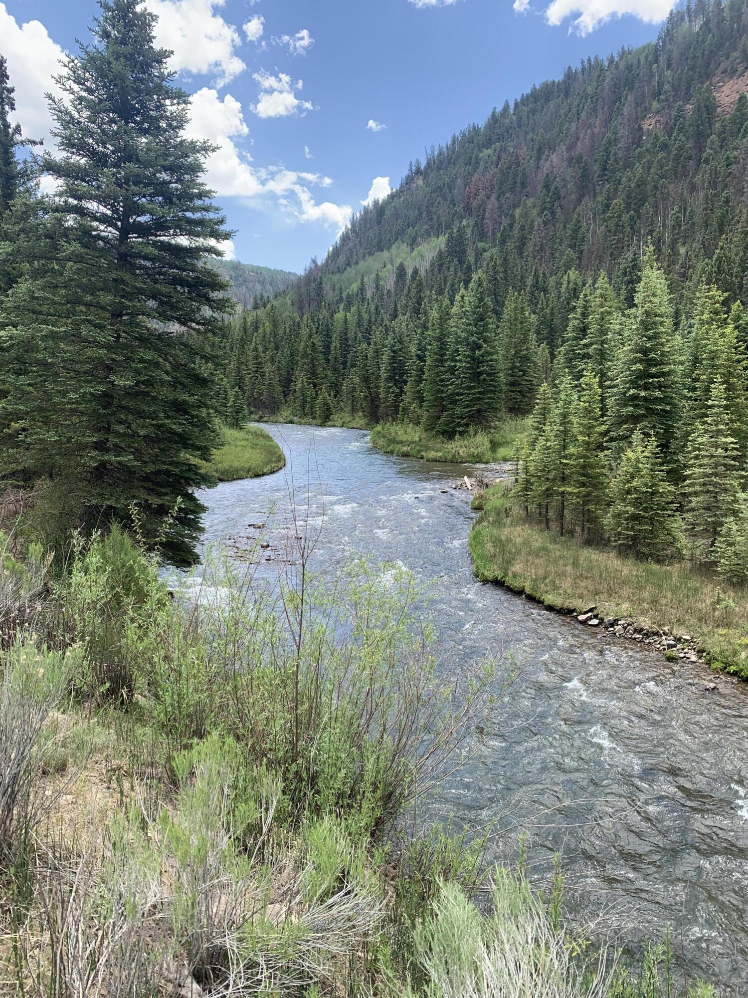 63 L Road Telluride, CO 81435 - Photo 5 of 15 a view of outdoor space and tree