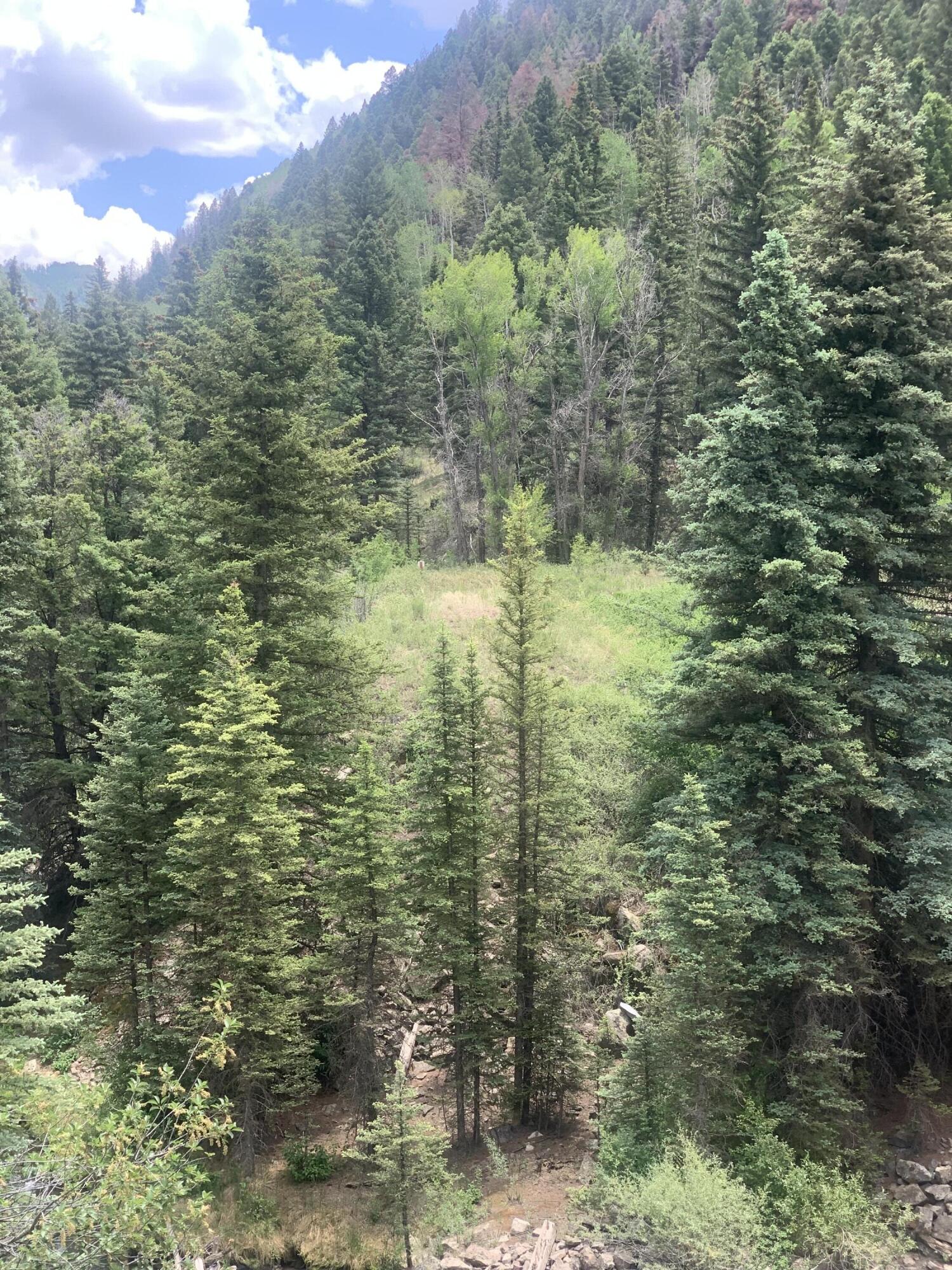 63 L Road Telluride, CO 81435 - Photo 7 of 15