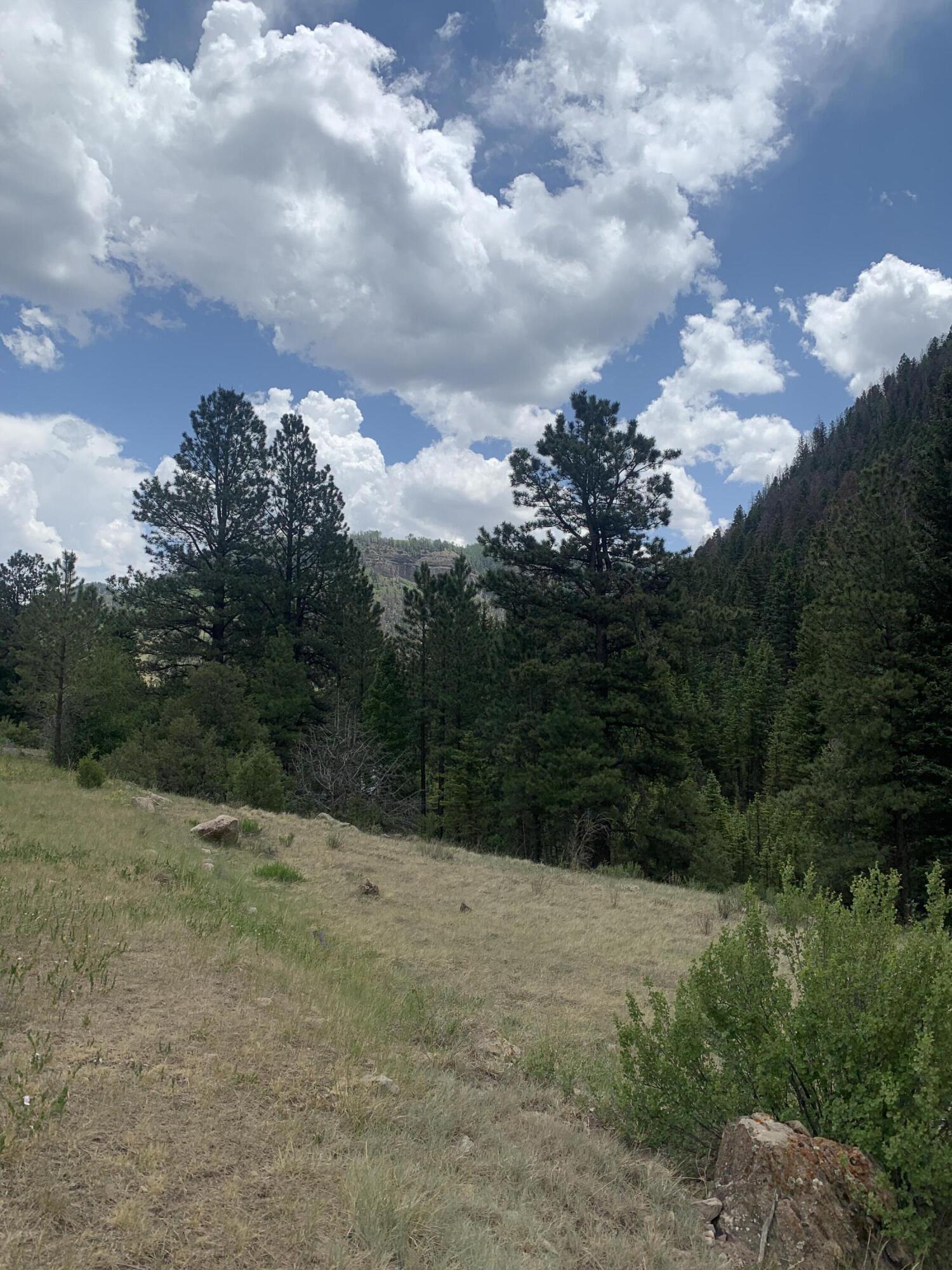 63 L Road Telluride, CO 81435 - Photo 8 of 15 a view of a yard