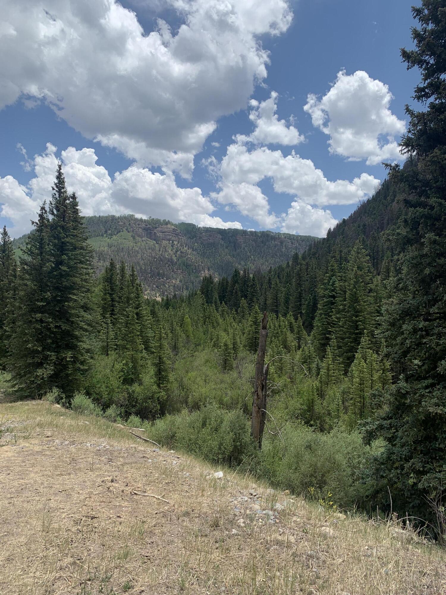 63 L Road Telluride, CO 81435 - Photo 9 of 15 a view of a city with lush green forest